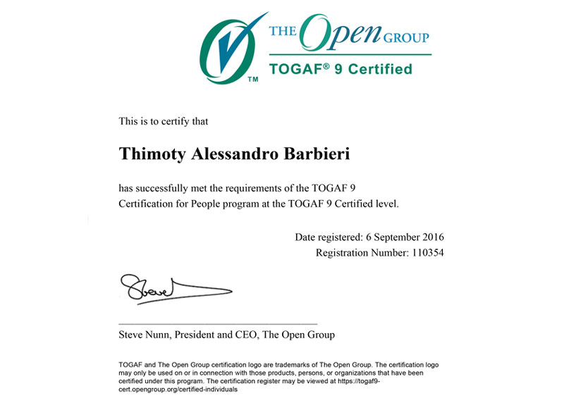 TOGAF 9.1 – Certified Enterprise Architect